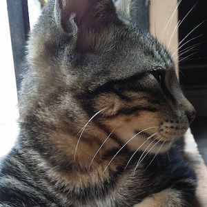 Meet your Posher, Sonia